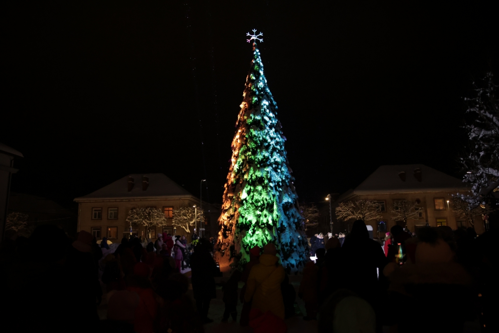 Gaismiņu iedegšana Vangažu pilsētas Ziemassvētku eglītē, 04.12.2023.