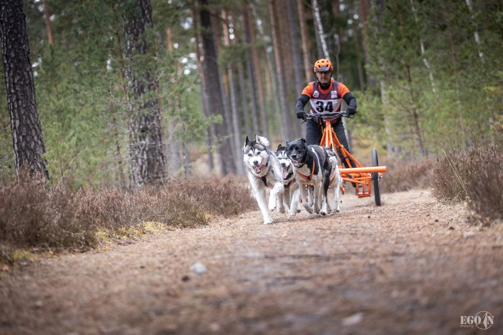 Foto: Egons Ansbergs