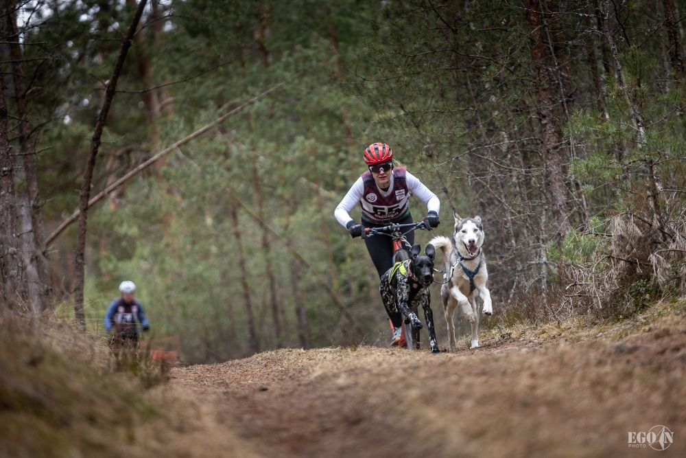 Foto: Egons Ansbergs