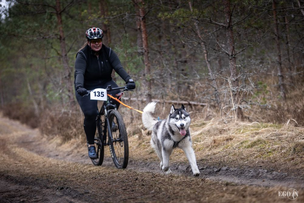 Foto: Egons Ansbergs