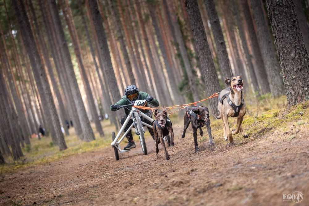 Foto: Egons Ansbergs