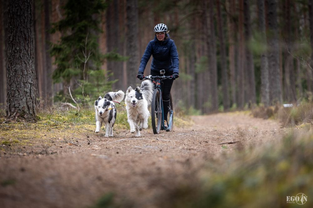 Foto: Egons Ansbergs