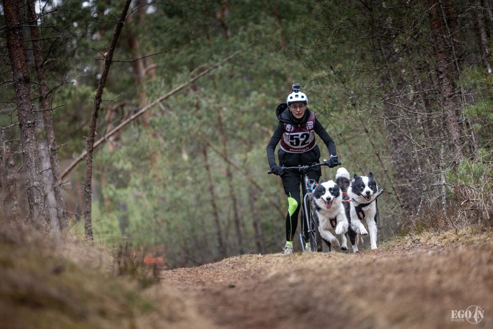 Foto: Egons Ansbergs