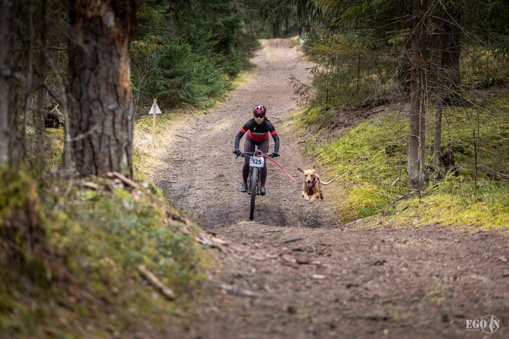 Foto: Egons Ansbergs