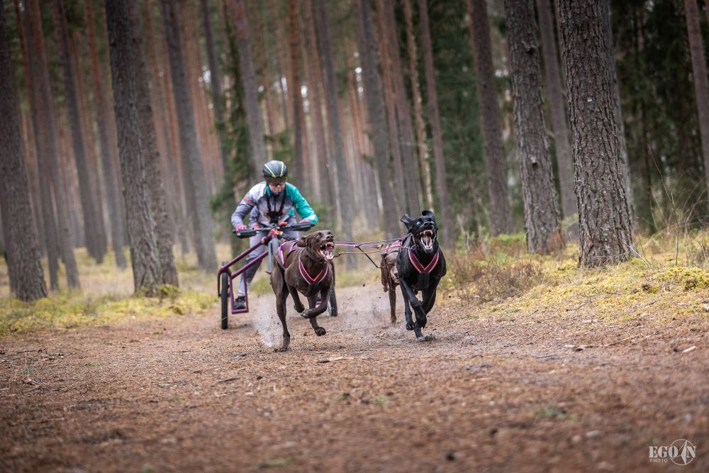 Foto: Egons Ansbergs