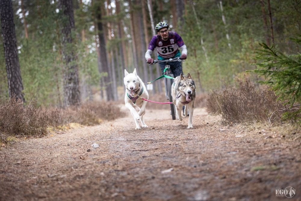 Foto: Egons Ansbergs