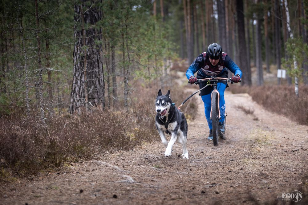 Foto: Egons Ansbergs