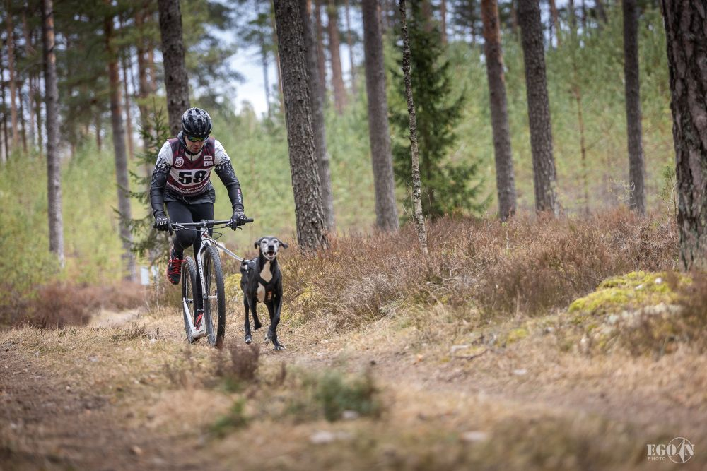 Foto: Egons Ansbergs