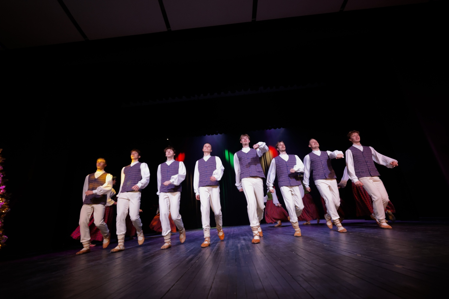 Deju koncerts "Eima visi danci vest"