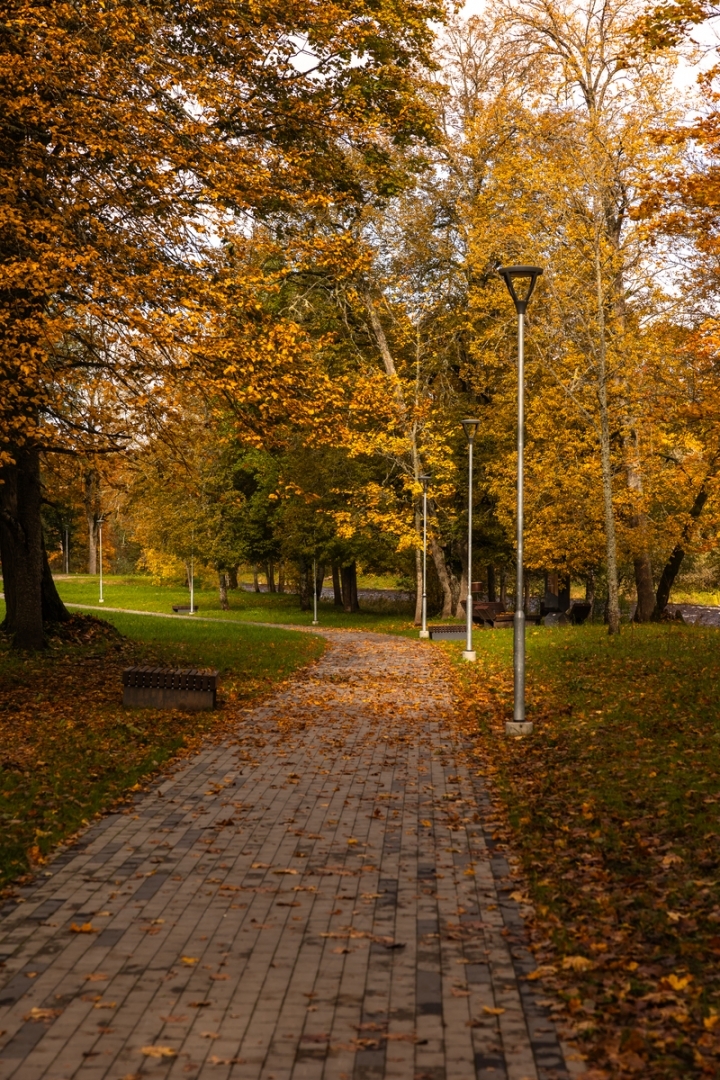 Rudens Ropažu novadā