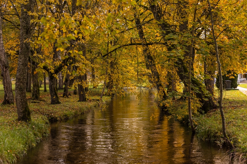 Rudens Ropažu novadā