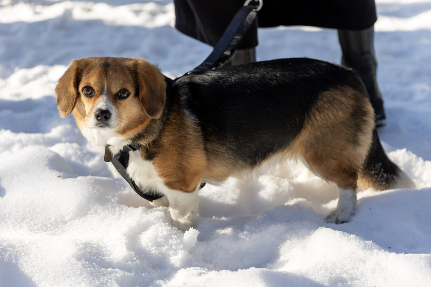 4x4 hokeja turnīrs Ulbrokā