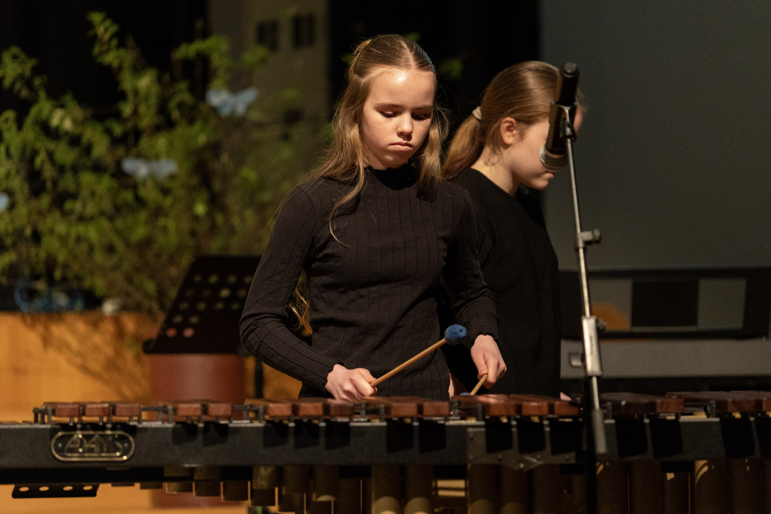 koncerts un izstāde “Draugi vienas upes krastos”