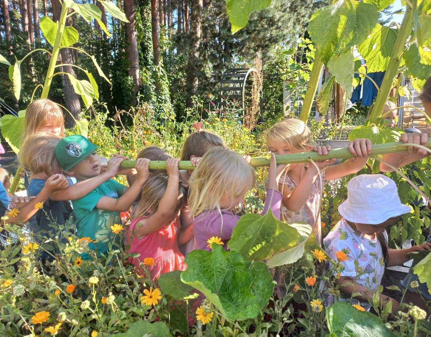 Turpina īstenot ESF+ projektu pirmsskolas izglītības iestādē “Knābis”