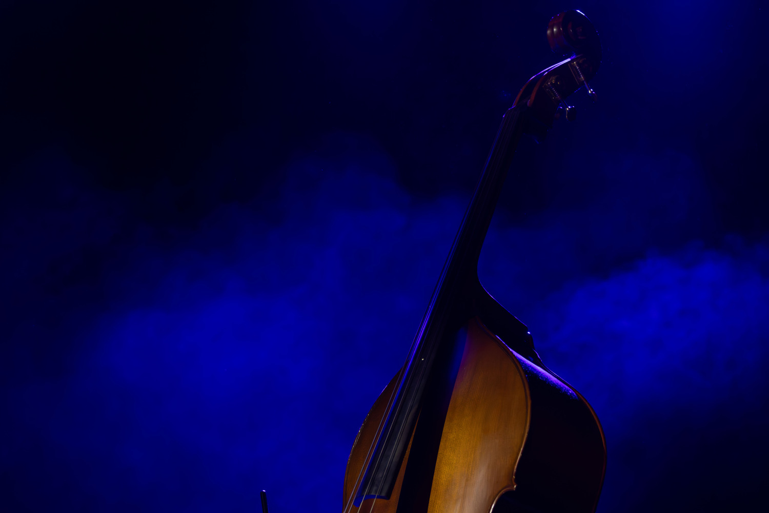 Maksima Busela un džeza trio koncerts "Mīlestības vārdā" kulturas centrā "Berģi"