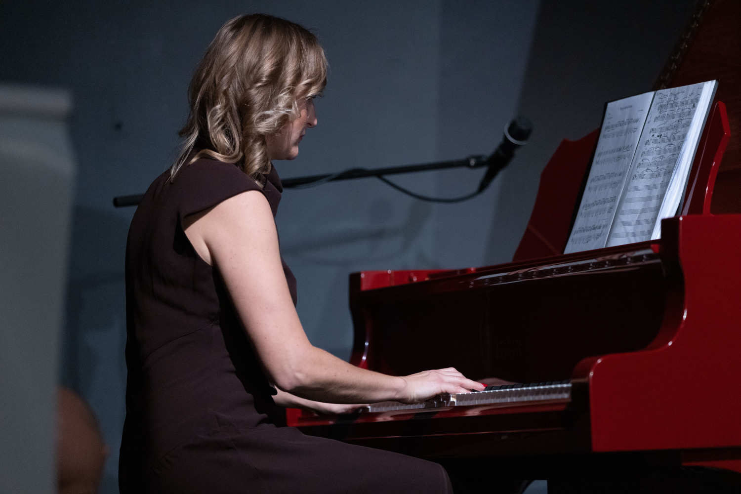 Berģu Mūzikas un mākslas pamatskolas 155 gadu jubileja. Salidojums