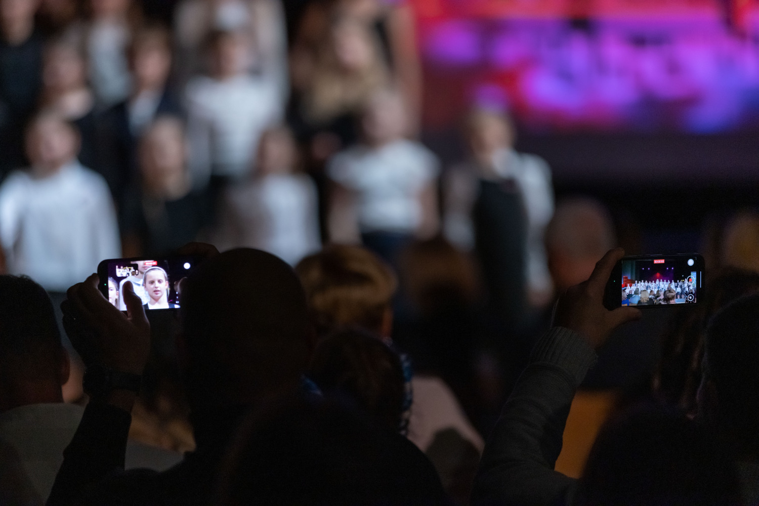Berģu Mūzikas un mākslas pamatskolas 155 gadu jubileja. Salidojums