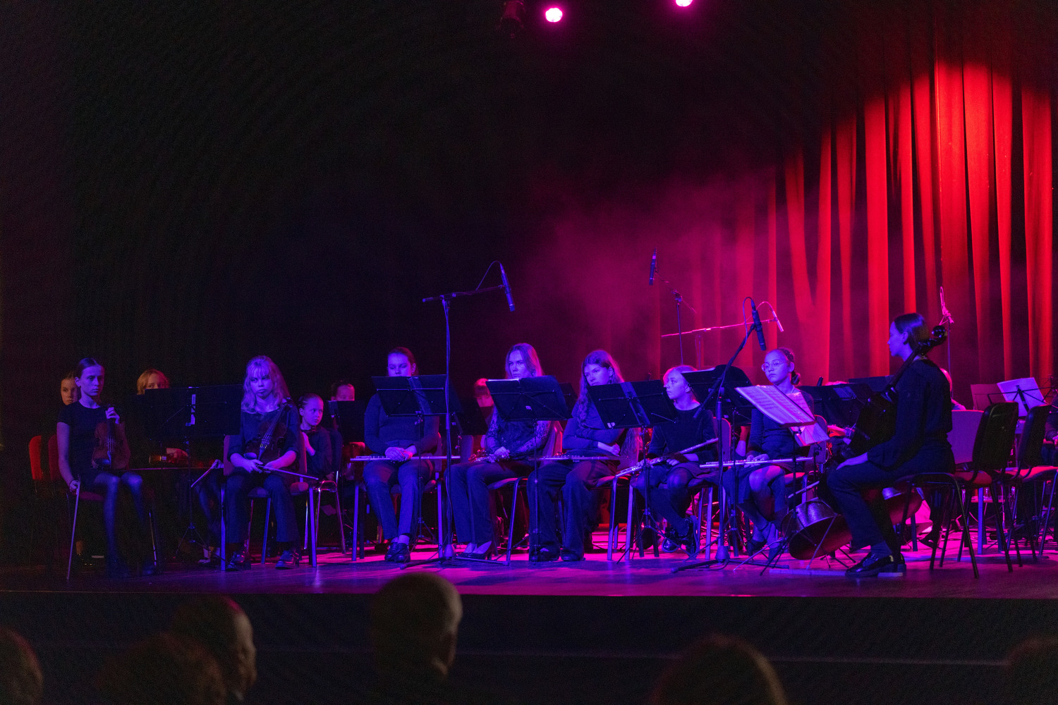 Berģu Mūzikas un mākslas pamatskolas 155 gadu jubileja. Salidojums