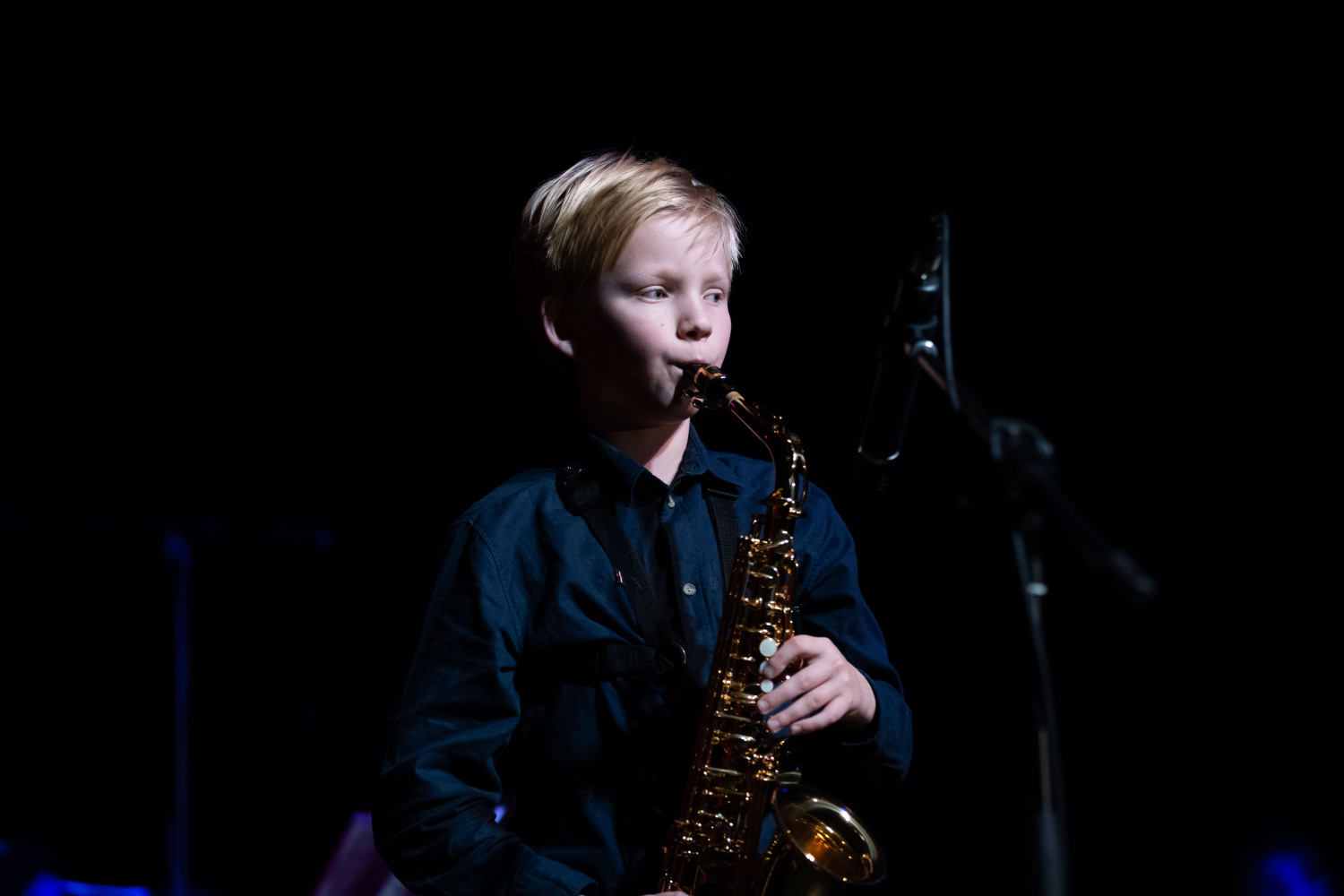 Berģu Mūzikas un mākslas pamatskolas 155 gadu jubileja. Salidojums