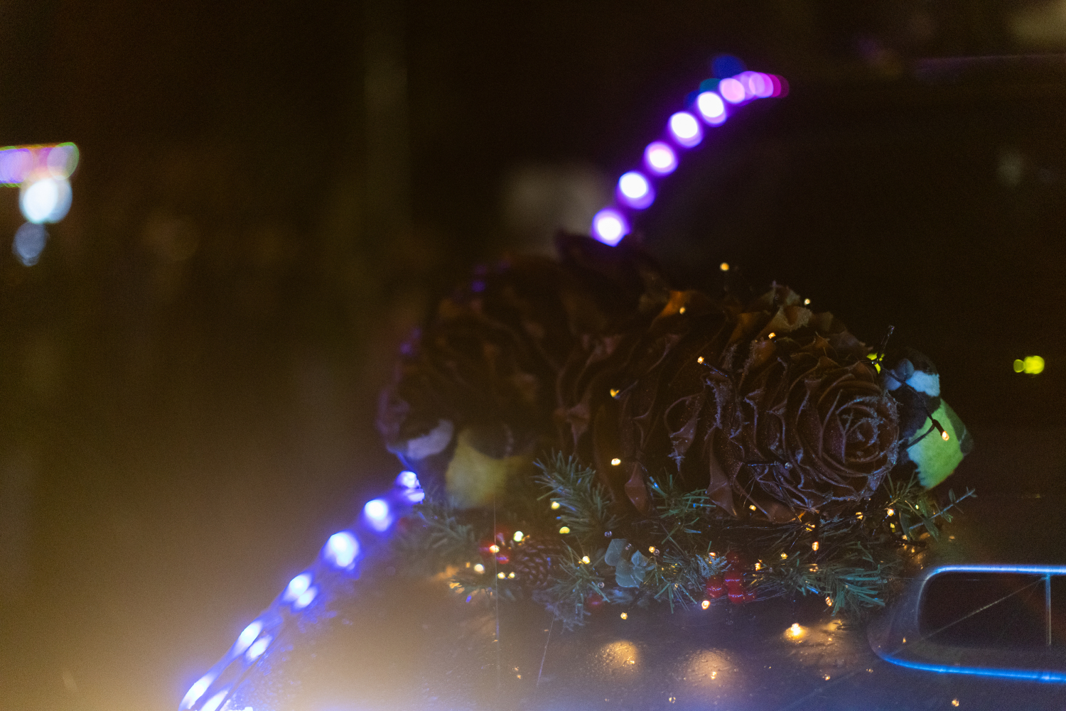 Eglītes iedegšanas pasākums Ropažos