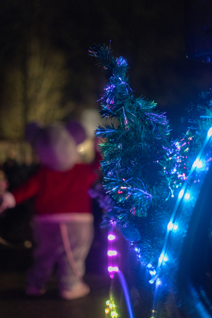 Eglītes iedegšanas pasākums Ropažos