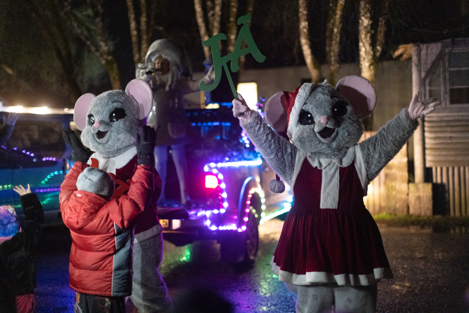 Eglītes iedegšanas pasākums Ropažos