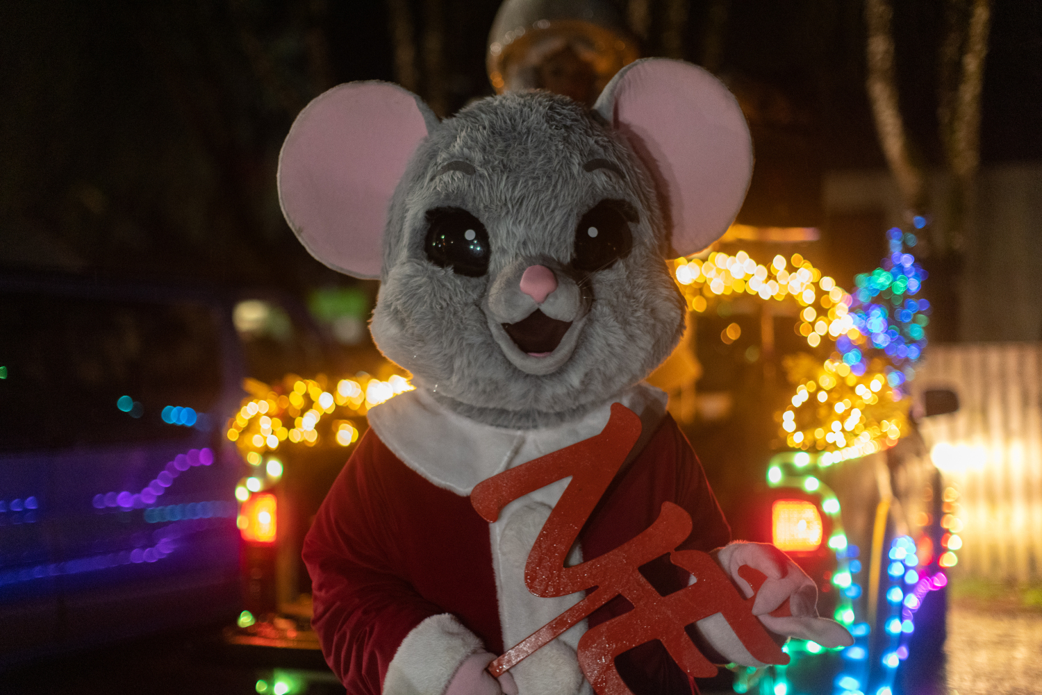 Eglītes iedegšanas pasākums Ropažos