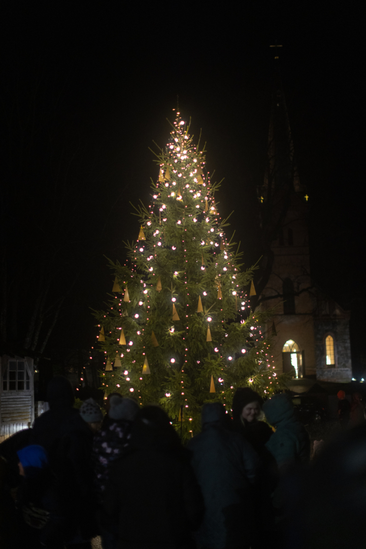 Eglītes iedegšanas pasākums Ropažos