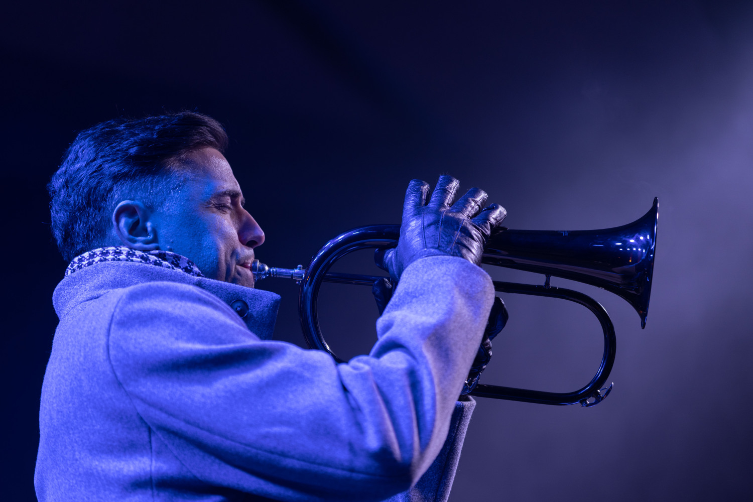 Latvijas valsts svētku koncerts Upesciemā