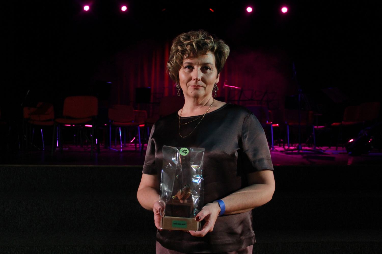 Berģu Mūzikas un mākslas pamatskolas 155 gadu jubileja