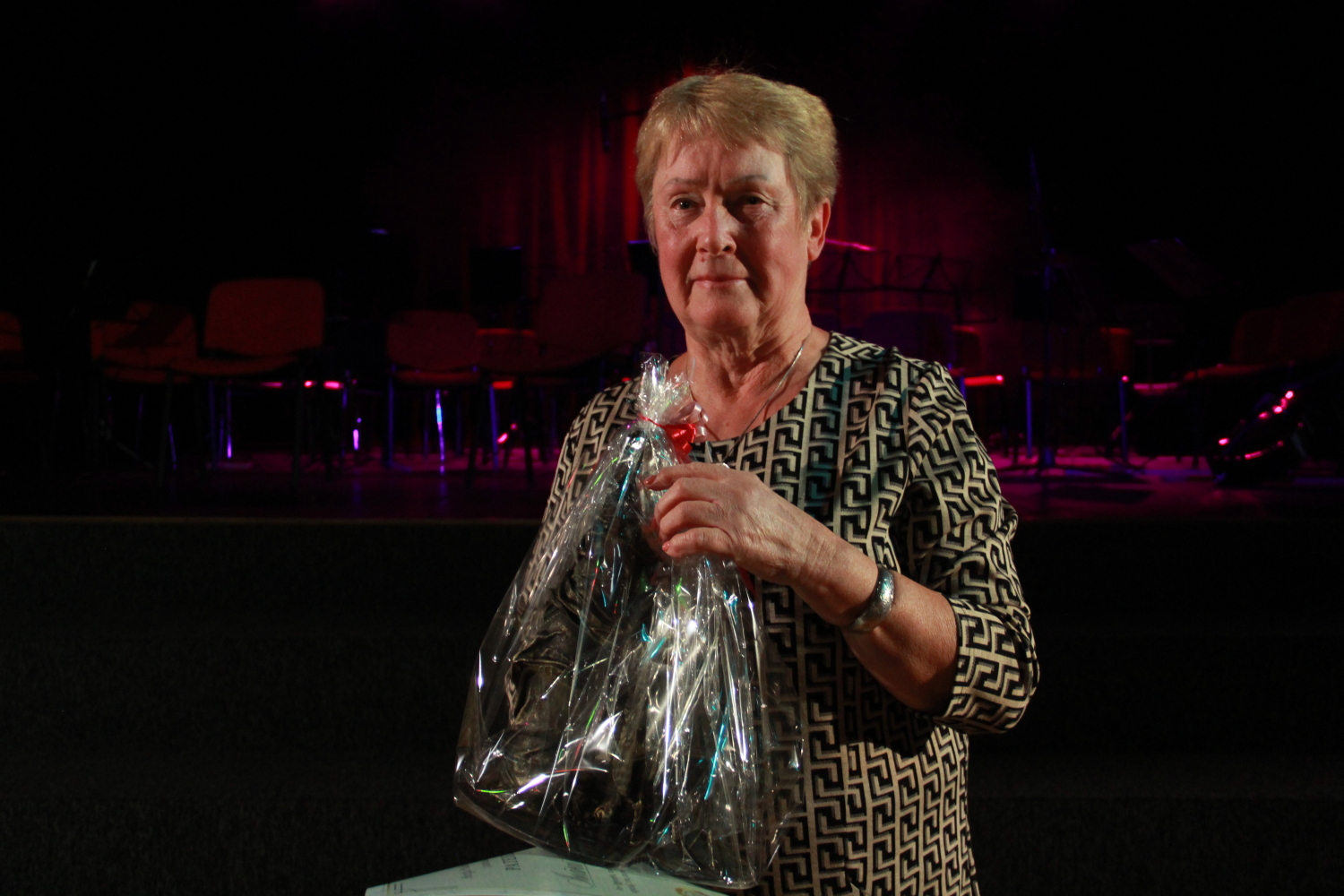 Berģu Mūzikas un mākslas pamatskolas 155 gadu jubileja