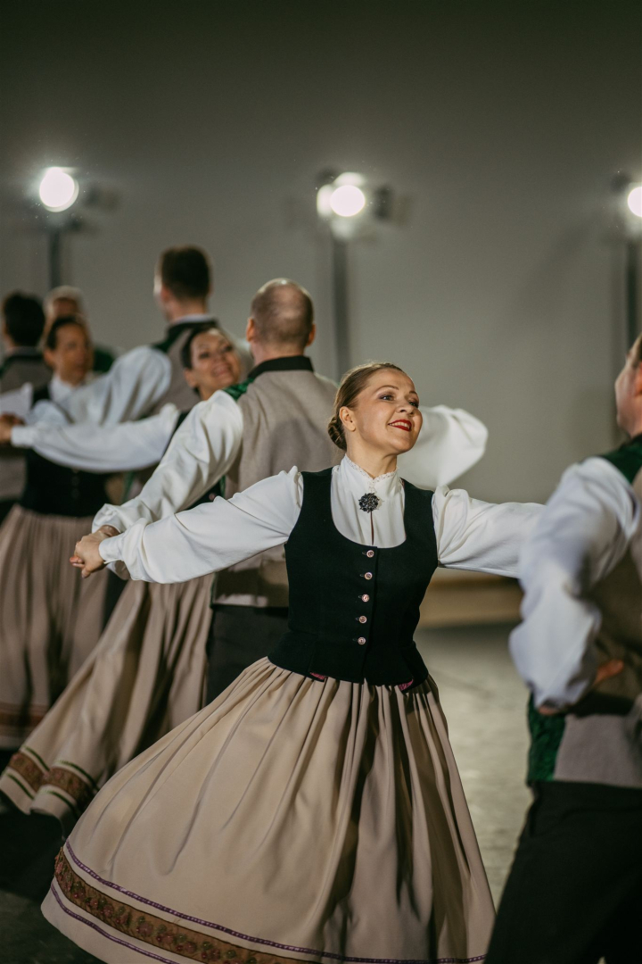 koncerts Rudzu danči, dejotāji