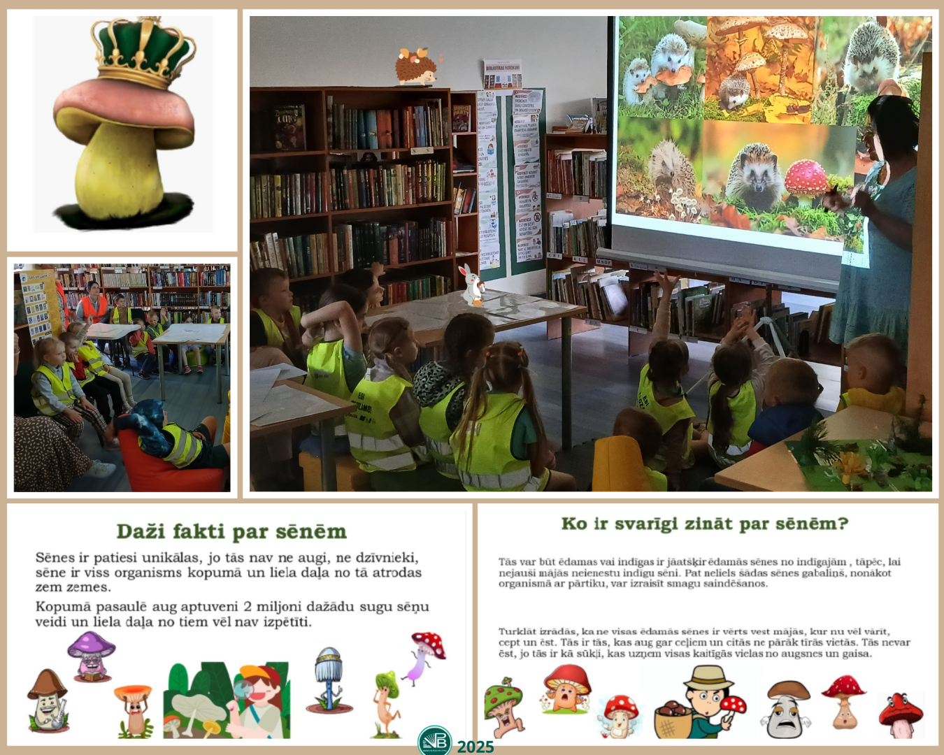 bibliotēkas aktivitātes