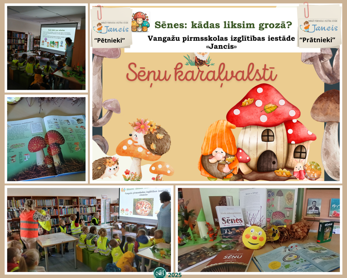 bibliotēkas aktivitātes