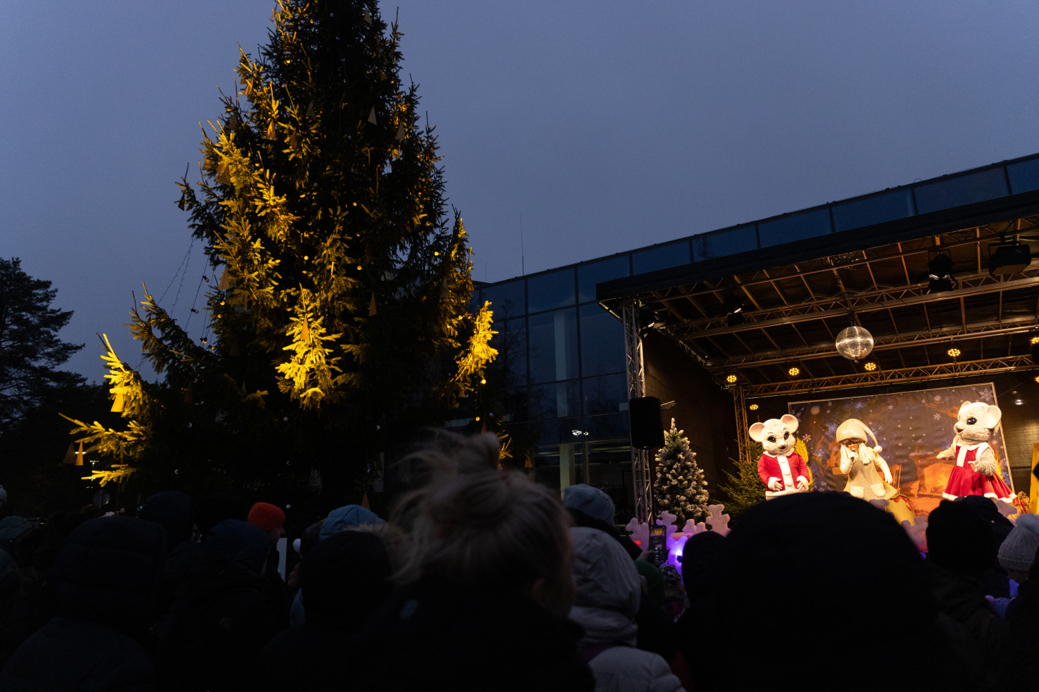 Gaismiņu iedegšana Ulbrokas Lielajā eglē