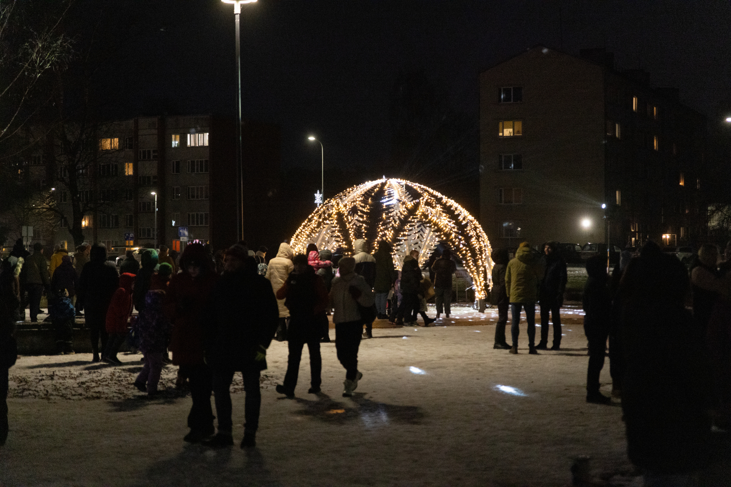 Gaismiņu iedegšana Ulbrokas Lielajā eglē