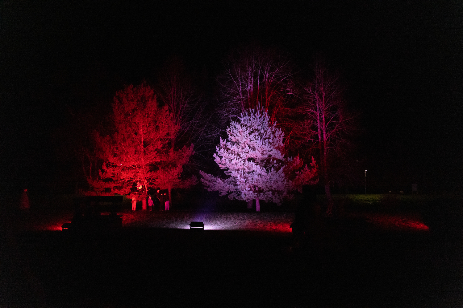 Lāčplēša dienas koncerts "Cauri tumsai dzimst gaismiņa"