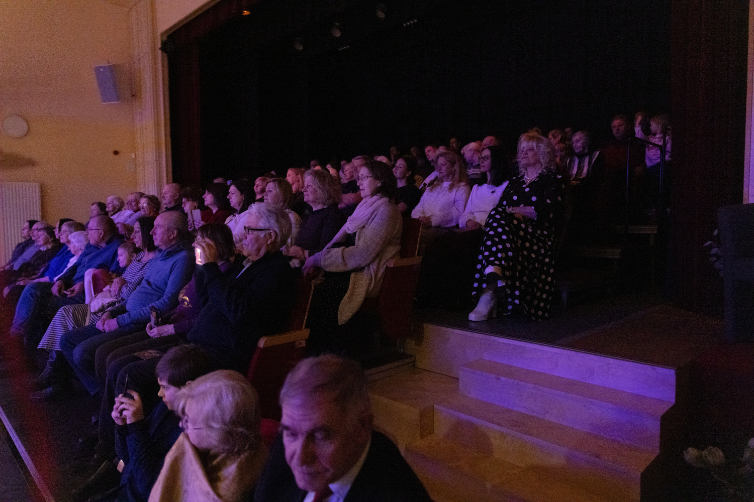 Mīlestības dienas sadancis "Kāzas", koncerta skatītāji