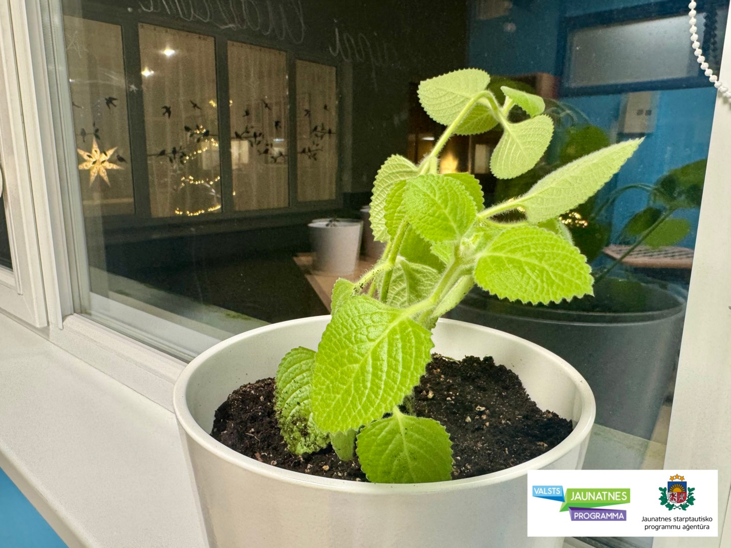 Projekta “Vēlies! Uzņemies! Rīkojies” laikā labiekārtota skolēnu atpūtas telpa 