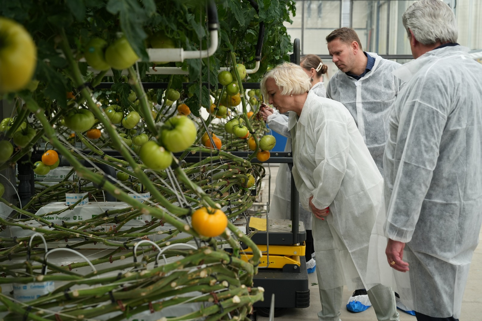 Daigas Mieriņas reģionālā darba vizīte Ropažu novadā