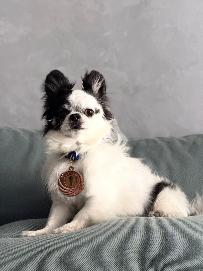 Aizvadīts aizraujošs ģimeņu foto orientēšanās pasākums Upesciemā