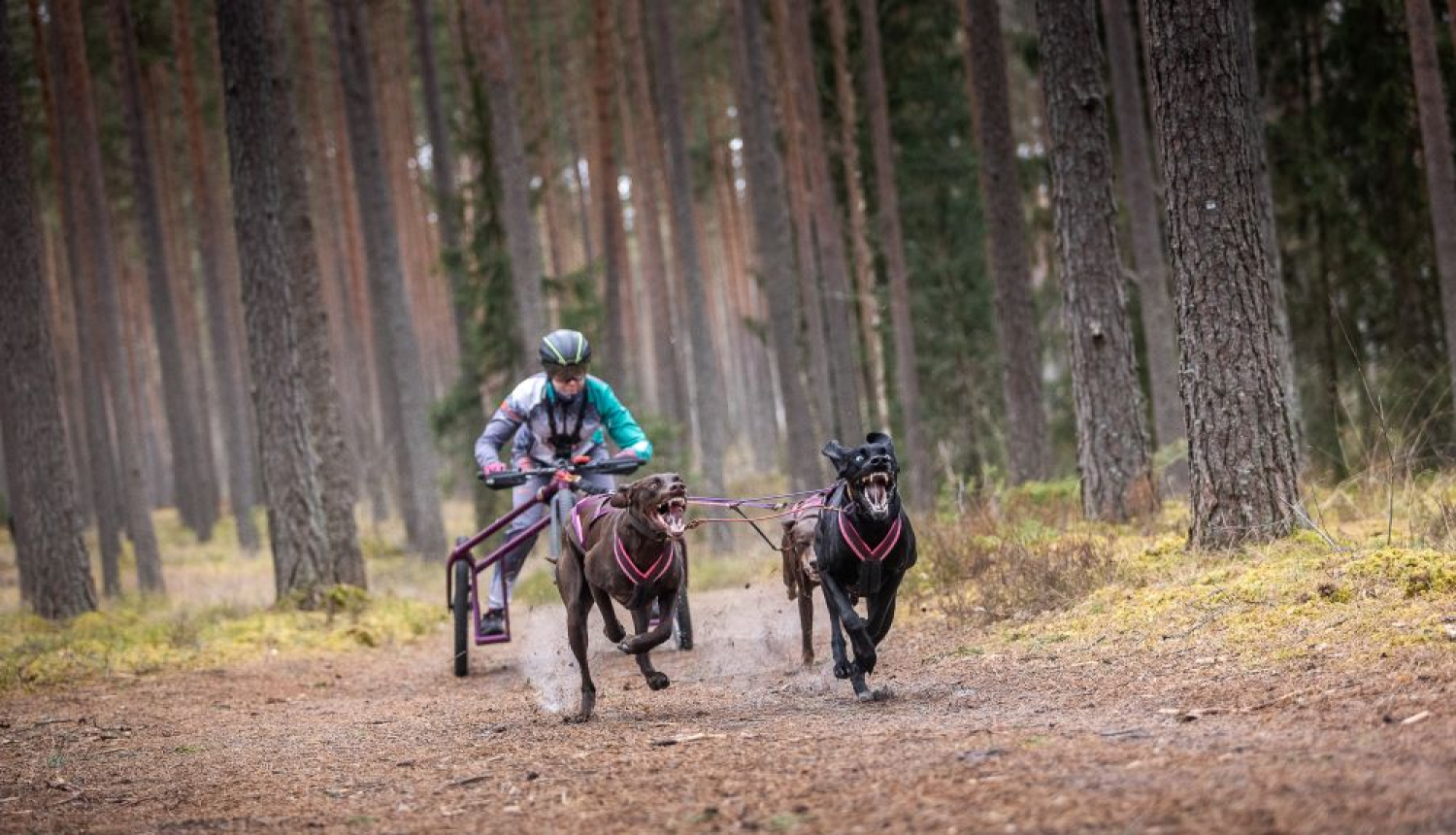 Foto: Egons Ansbergs