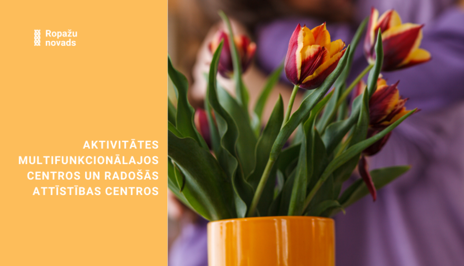 Aktivitātes multifunkcionālajos centros un radošās attīstības centros, afiša