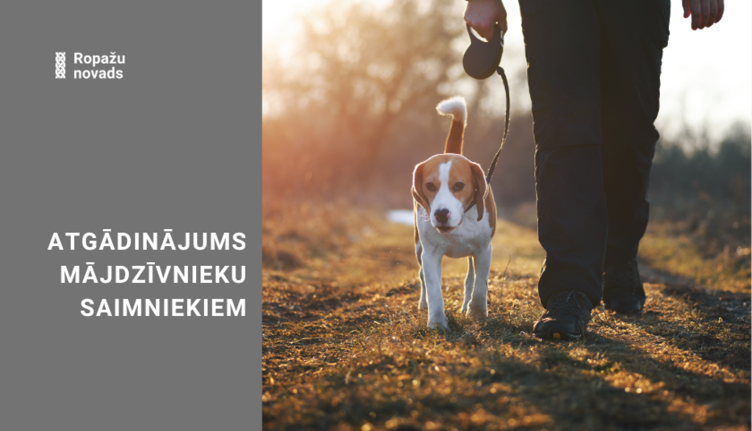 Atgādinājums suņu saimniekiem, bildē suns pie pavadas ar saimnieku