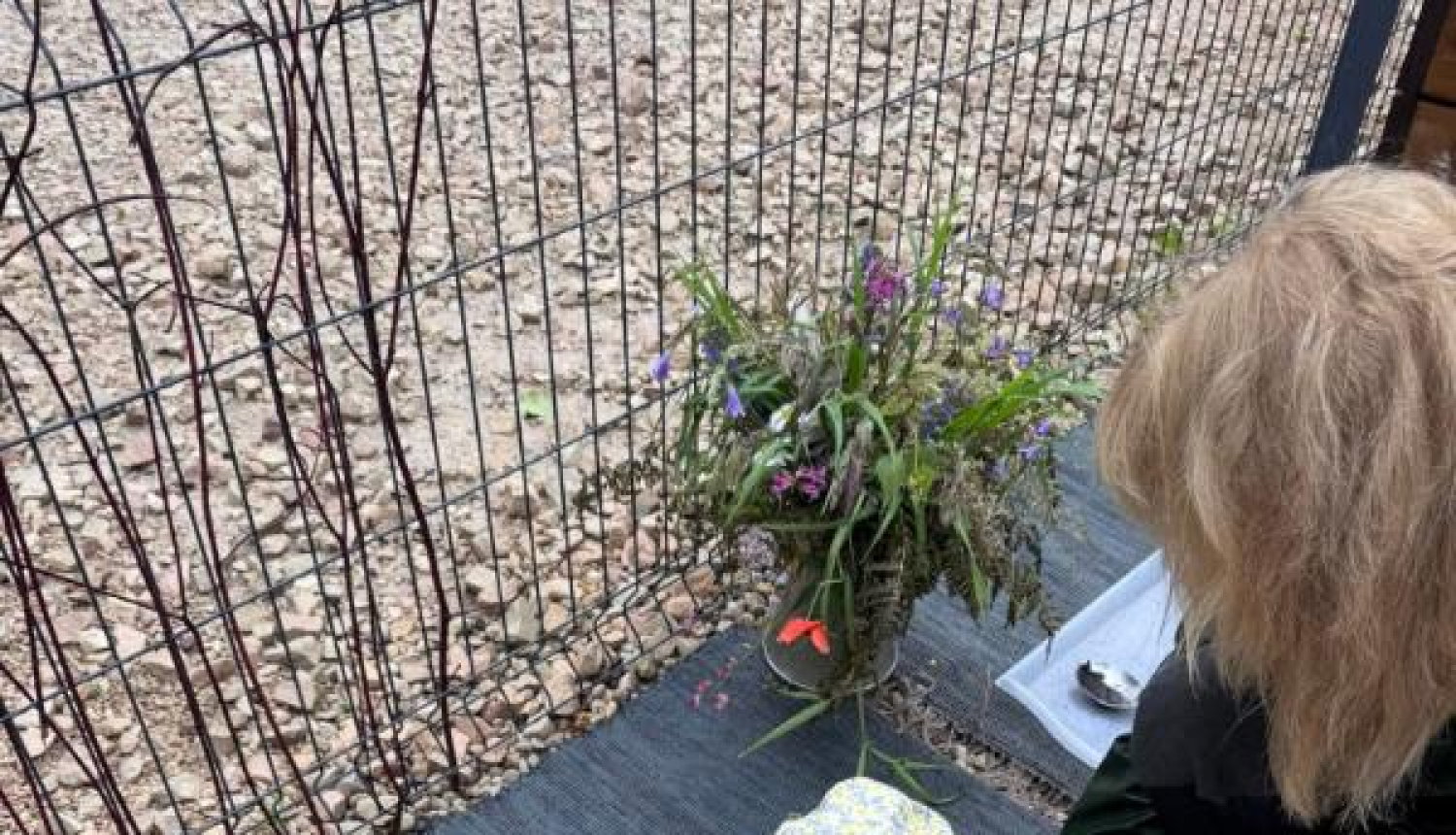 Bērnu pieskatīšanas pakalpojumi