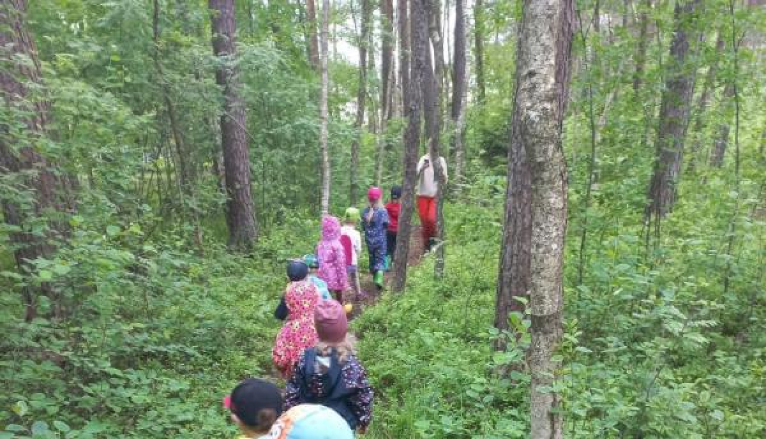 Bērnu pieskatīšanas pakalpojumi