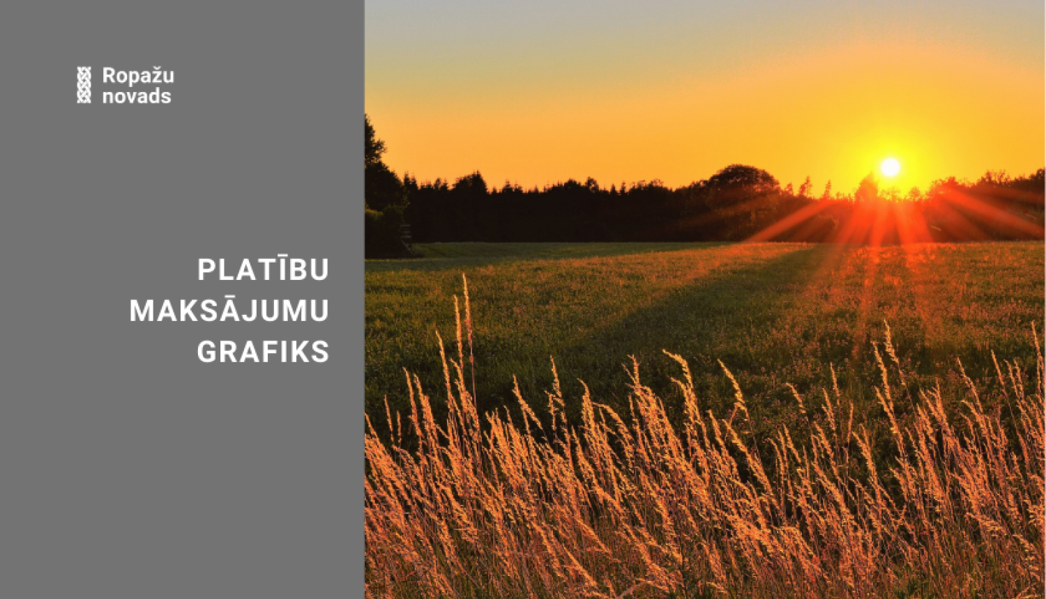 Lad platību maksajums