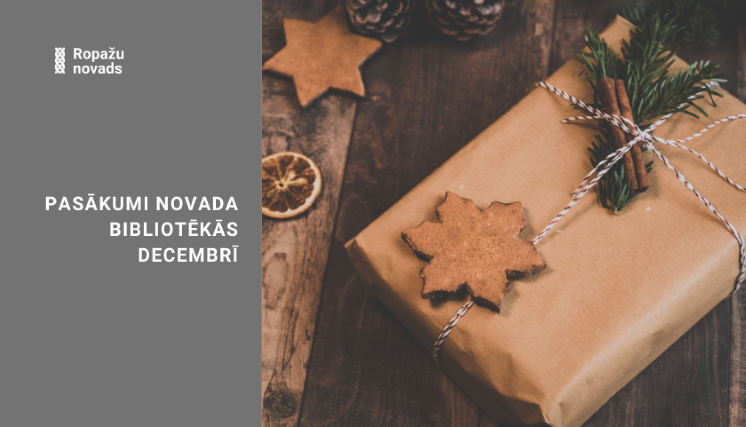 Decembris novada bibliotēkās