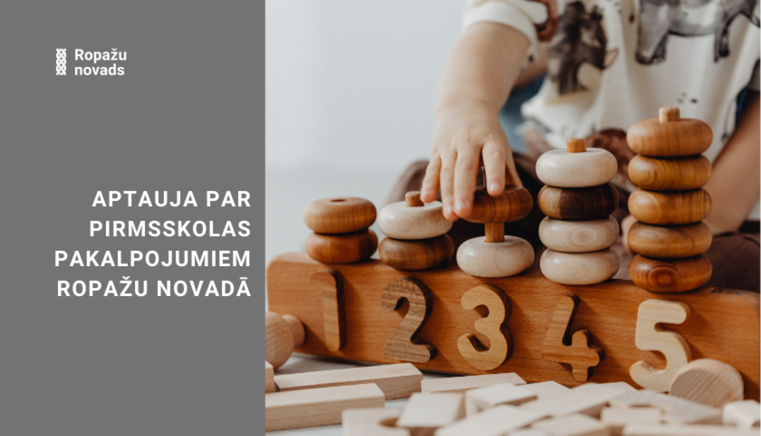 aptauja par pimsskolas pakalpojumiem