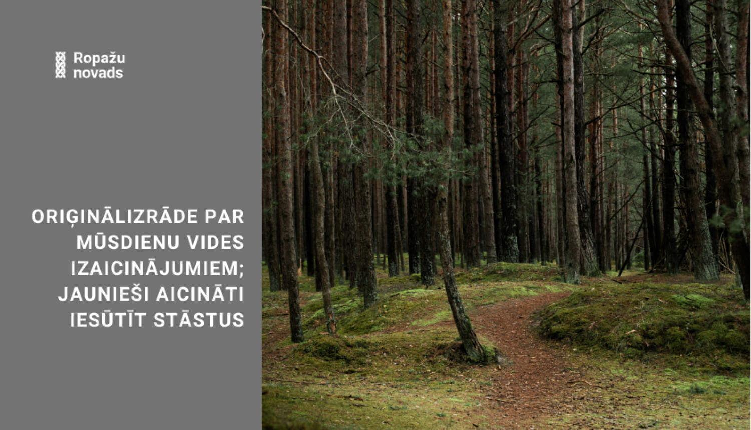 pieteikšanās konkursam